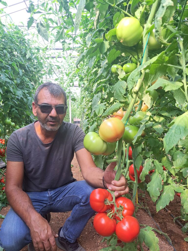 Люди, що стоять за посівами. Хто вони?: Янніс Грамматікакіс