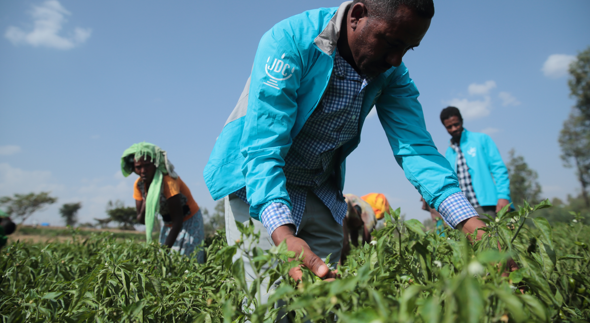 Empowering Ethiopian farmers a successful collaboration between